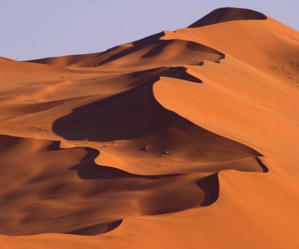 Climb the red dunes at Sossusvlei